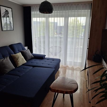 Komfortowy Apartament Dla 7 Osob Ch Arena, Prywatny Parking Gliwice Kültér fotó